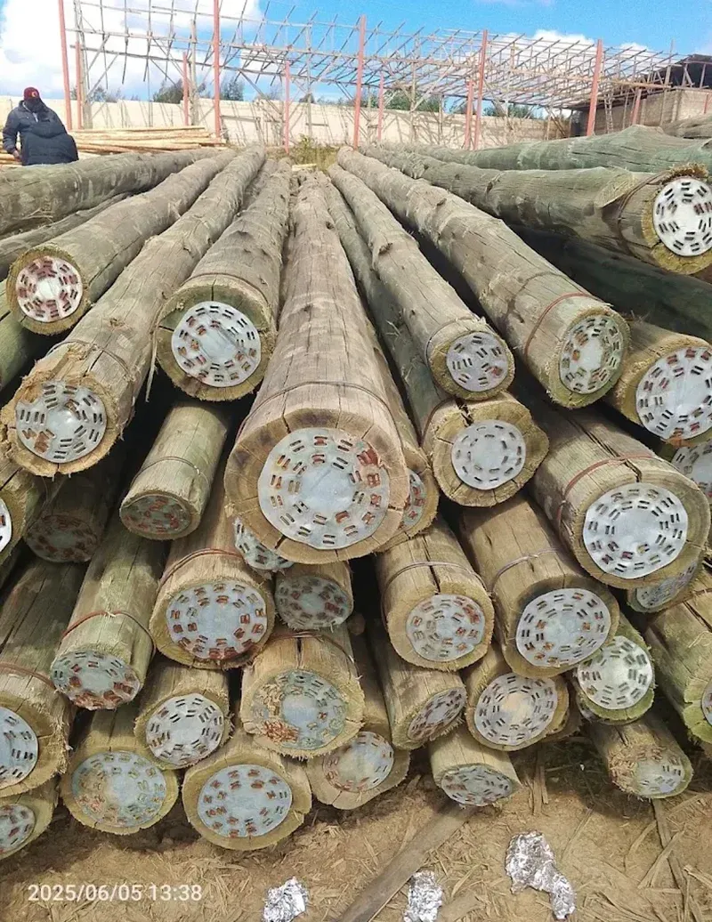 High-quality Wooden Poles from Jakonda Timber Tanzania
